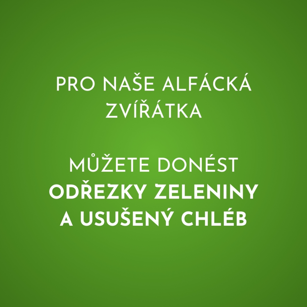 Odřezky zeleniny a usušený chléb 