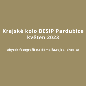 Krajské kolo BESIP - Pardubice